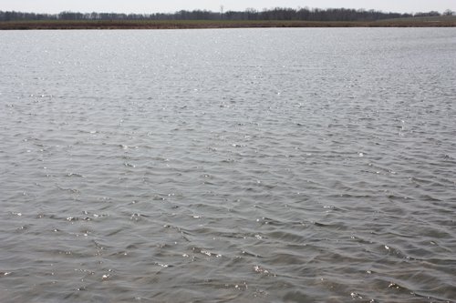 Property photo 14 - 194.67 Acres Offered in 2 Tracts